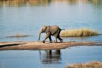 Kwalate Safaris - Image 3
