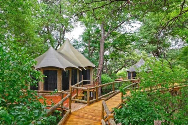 Nambwa Tented Lodge - Image 6