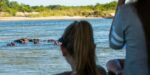 Namibia Wildlife Resorts - Image 2