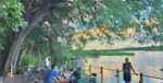 Ndhovu Safari Lodge