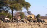 Ngamo Safaris - Ganda Lodge - Image 2