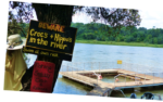 Ngepi Camp - Image 6