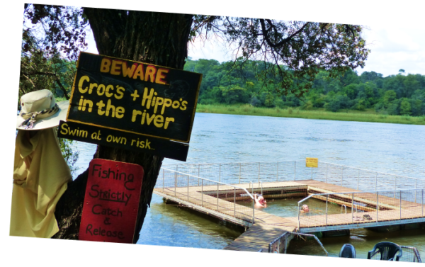 Ngepi Camp - Image 6