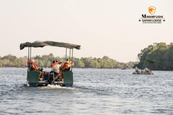 Mwamfushi safari lodge - Image 7