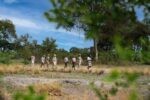 Kazile Island Lodge - Image 6