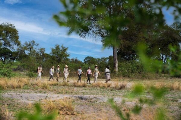 Kazile Island Lodge - Image 6