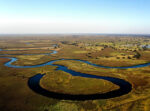 Footsteps of Livingstone