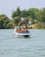 SafPar - Image 5