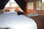 Sikereti Camps, Khaudum - Image 2