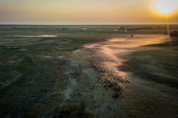 Luiana Plains Expedition Camp - Image 2