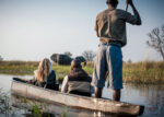 Natural Selection Safaris - Image 2