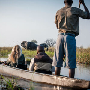 Natural Selection Safaris