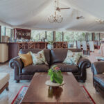 The Elephant Camp - Image 3