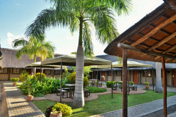 Thebe River Safaris - Image 2