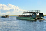Thebe River Safaris - Image 5