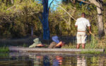 Wild Africa Safaris