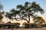 Wild Africa Safaris - Image 4