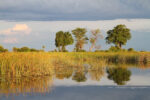 Wild Waters Group - Image 2