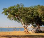 Matusadona Conservation Trust - Image 2