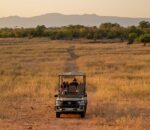 Matusadona Conservation Trust - Image 3
